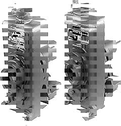 2 Inch Outlet, Cast Iron, Pedestal Mount Pump